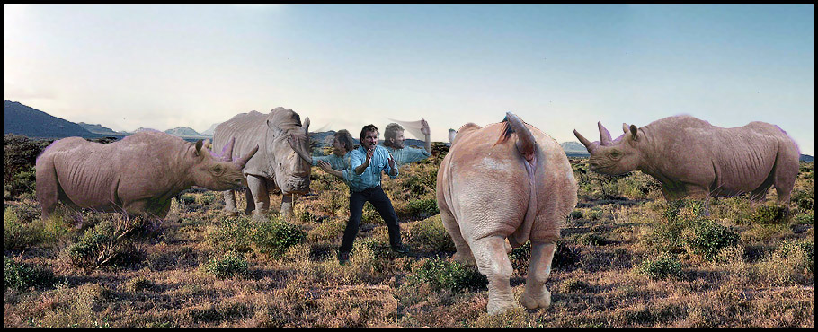 Man taking on Rhinos